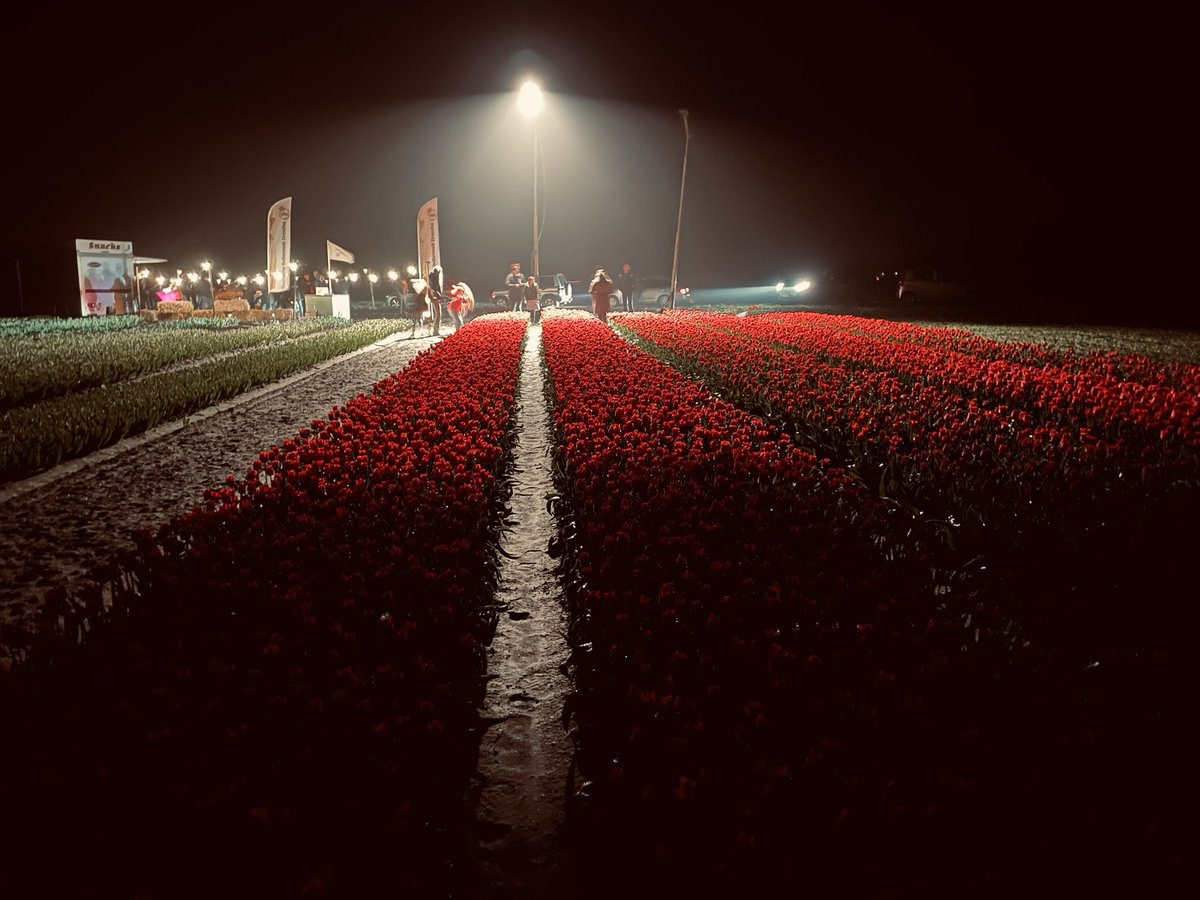 DrentheDuurzame's tweet image. Dit #weekend nog geen plannen? Kom vanavond naar Tulpenpracht bij Nacht
#duurzamebollenteeltdrenthe is er ook

#goedweekend #Drenthe