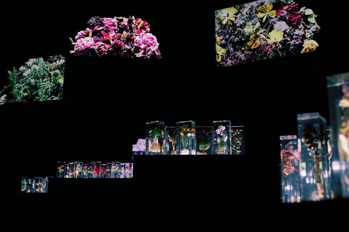 azumamakoto's tweet photo. Azuma Makoto Exhibition “Timeless Flowers”

Date : 4.29 (Sat)- 7.23 (Sun)
Time : Sun-Thu 11:00-21:30 : Fri&amp;Sat 11:00-22:00
Location : NOKE 1F Art space / No. 200 Lequn 3rd Rd, Zhongshan District, Taipei City

#azumamakoto
#amkk
#timelessflowers
#東信
#東信花樹研究所
#台湾 https://t.co/knx2LGFJiM