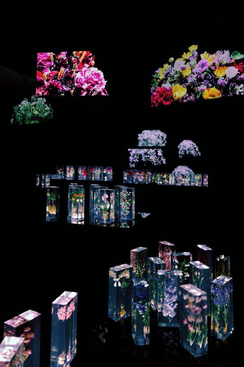 azumamakoto's tweet photo. Azuma Makoto Exhibition “Timeless Flowers”

Date : 4.29 (Sat)- 7.23 (Sun)
Time : Sun-Thu 11:00-21:30 : Fri&amp;Sat 11:00-22:00
Location : NOKE 1F Art space / No. 200 Lequn 3rd Rd, Zhongshan District, Taipei City

#azumamakoto
#amkk
#timelessflowers
#東信
#東信花樹研究所
#台湾 https://t.co/knx2LGFJiM