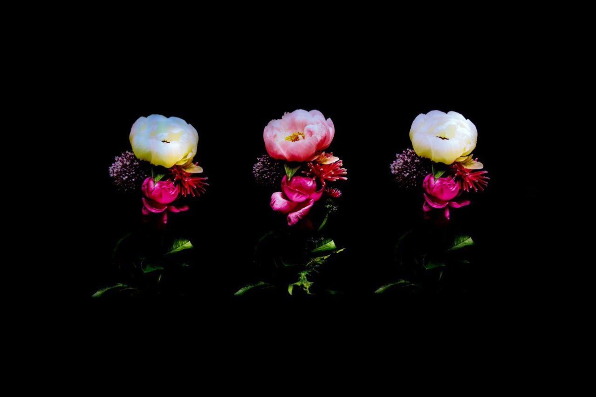 azumamakoto's tweet photo. Azuma Makoto Exhibition “Timeless Flowers”

Date : 4.29 (Sat)- 7.23 (Sun)
Time : Sun-Thu 11:00-21:30 : Fri&amp;Sat 11:00-22:00
Location : NOKE 1F Art space / No. 200 Lequn 3rd Rd, Zhongshan District, Taipei City

#azumamakoto
#amkk
#timelessflowers
#東信
#東信花樹研究所
#台湾 https://t.co/knx2LGFJiM