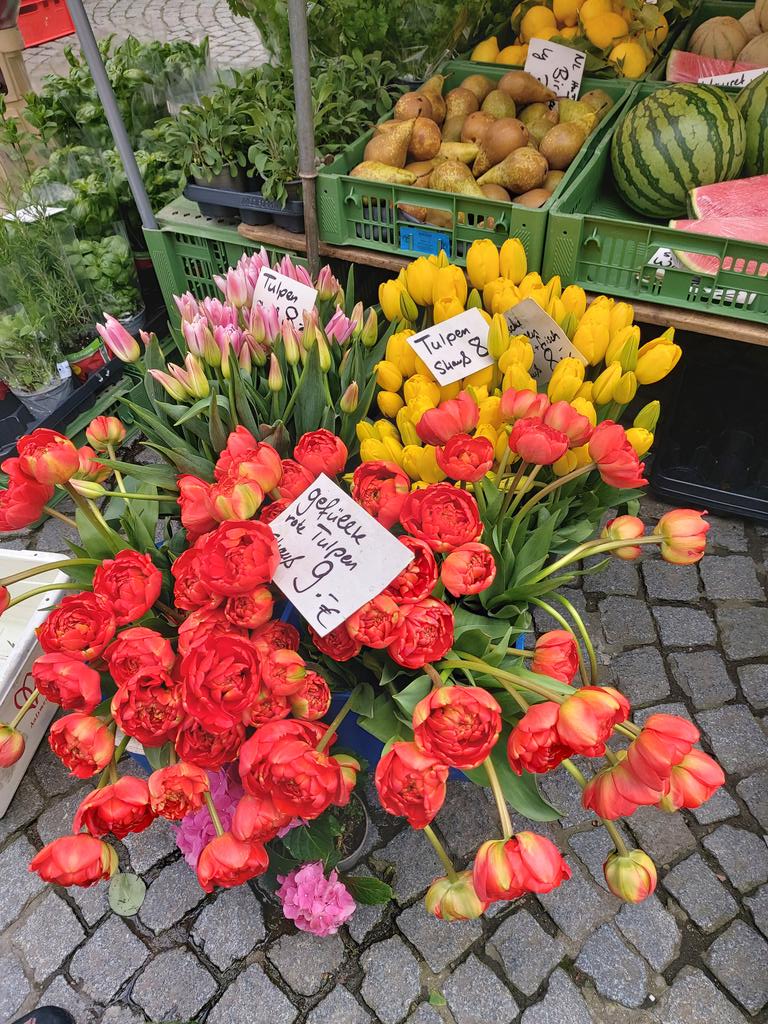 tueinfo's tweet photo. Heute ist bei uns in Tübingen Regionalmarkt in der Altstadt mit lauter tollen, frischen und natürlich regionalen Produkten! Lecker! #visittuebingen #Regional #lecker https://t.co/NxdLn0Ucx1