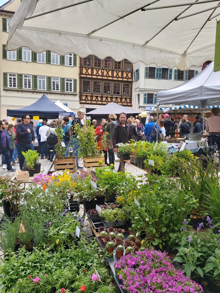 tueinfo's tweet photo. Heute ist bei uns in Tübingen Regionalmarkt in der Altstadt mit lauter tollen, frischen und natürlich regionalen Produkten! Lecker! #visittuebingen #Regional #lecker https://t.co/NxdLn0Ucx1