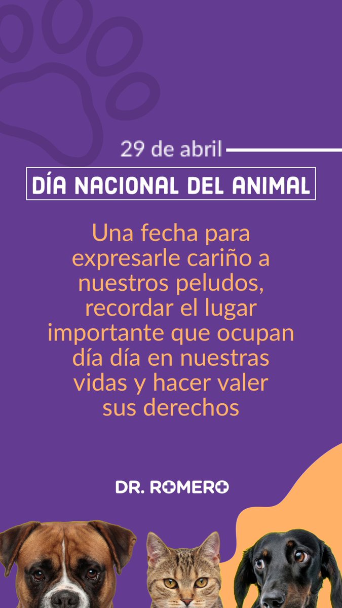 Dr. Juan Enrique Romero tweet media