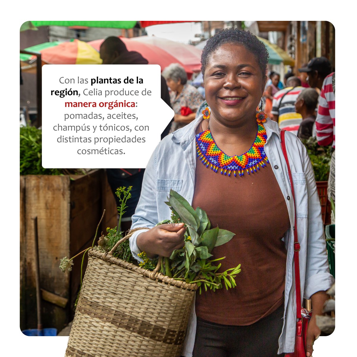cmmcolombia's tweet photo. En Tumaco, una joven está haciendo historia a través de su emprendimiento de cosmética ancestral que rescata sus raíces afrocolombianas e indígenas. Inspírate con Celia Mosquera, emprendedora de #Bancamia y beneficiaria del programa #Empropaz 
https://t.co/YR3ROXHkUT https://t.co/7kj5QJr54U