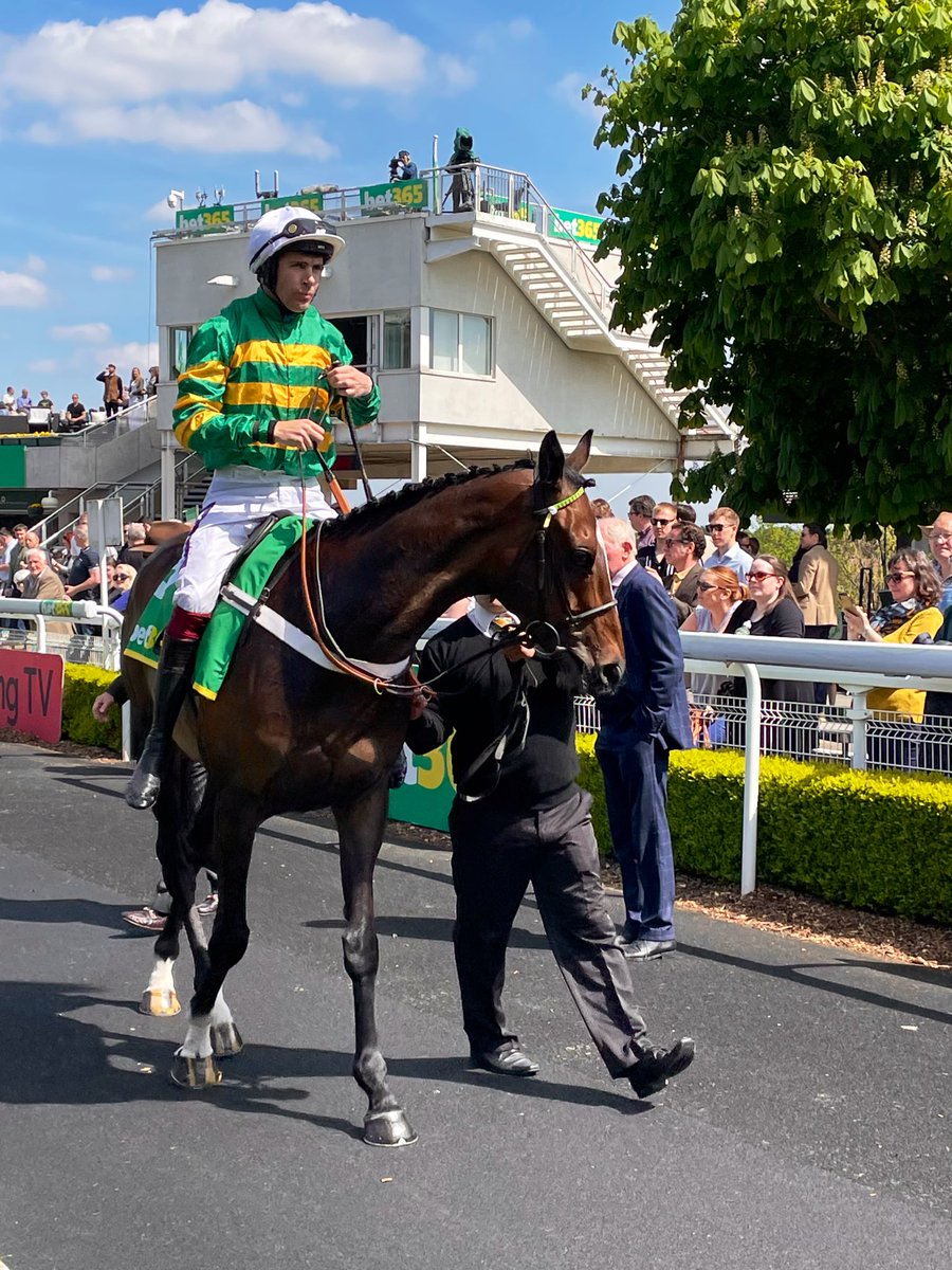 RacingTV's tweet photo. Is two-time winner of the race Greaneteen or leading novice Jonbon, below, yor choice for the Celebration Chase? Or have you found one to beat both🤔
@Sandownpark | @bet365 | #jumpfinale https://t.co/f8fuGUfZmc