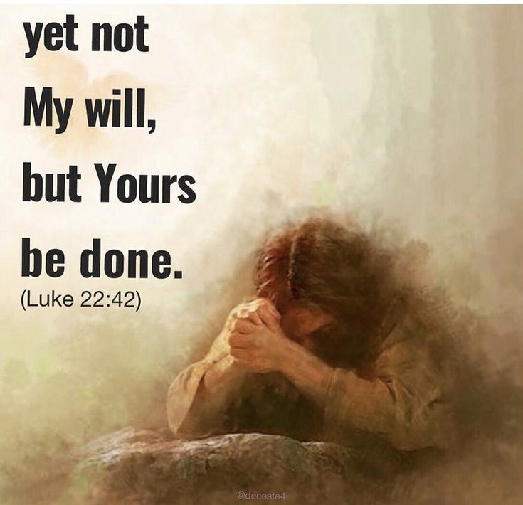 SunitaHines's tweet photo. #Pray🤎🩶
Dear Lord,
During these perilous times, I thank you for grace to draw nearer to you.
And through my prayers, day and night, when I've asked amiss and you refused, I thank you for always hearing my one true prayer, not my will, but your will be done.
#InJesusNameAmen https://t.co/mLBhIOisKX