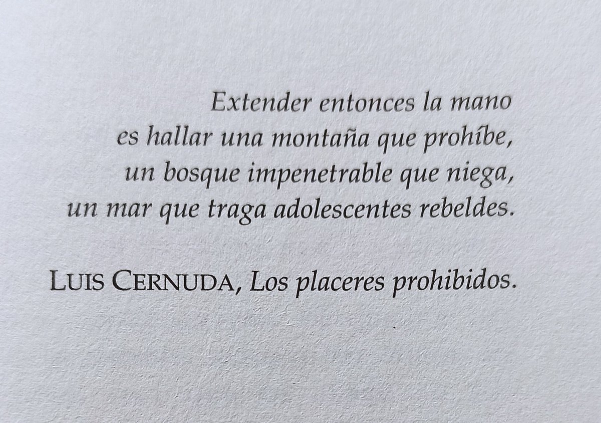 evamartincuenca's tweet photo. https://t.co/5F6521KCPF
