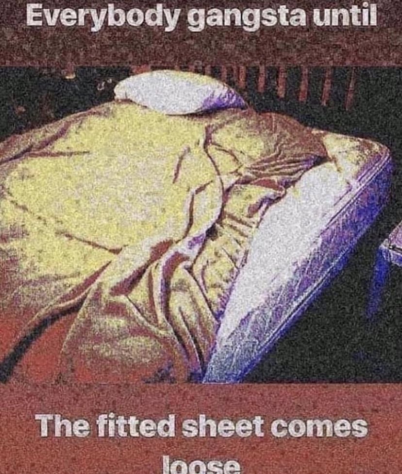 🕐HOURLY🕑 shitpost (@hourly_shitpost) on Twitter photo 