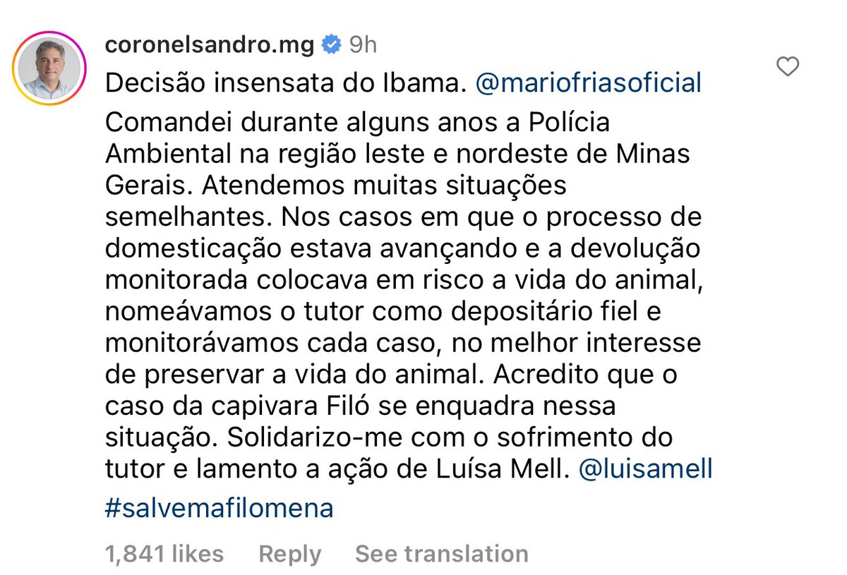 renatajbarreto's tweet photo. Comentário importante sobre o caso da capivara que teve que ser devolvida. Estou com tanto ódio dessa Luisa Mel que não tem mais o que fazer que nem vou continuar escrevendo o que eu acho pra não tomar um processo. E o Ibama ainda cobrou multa. Tudo pela lacração! O bichinho tava bem cuidado e feliz! VTNC!!!!