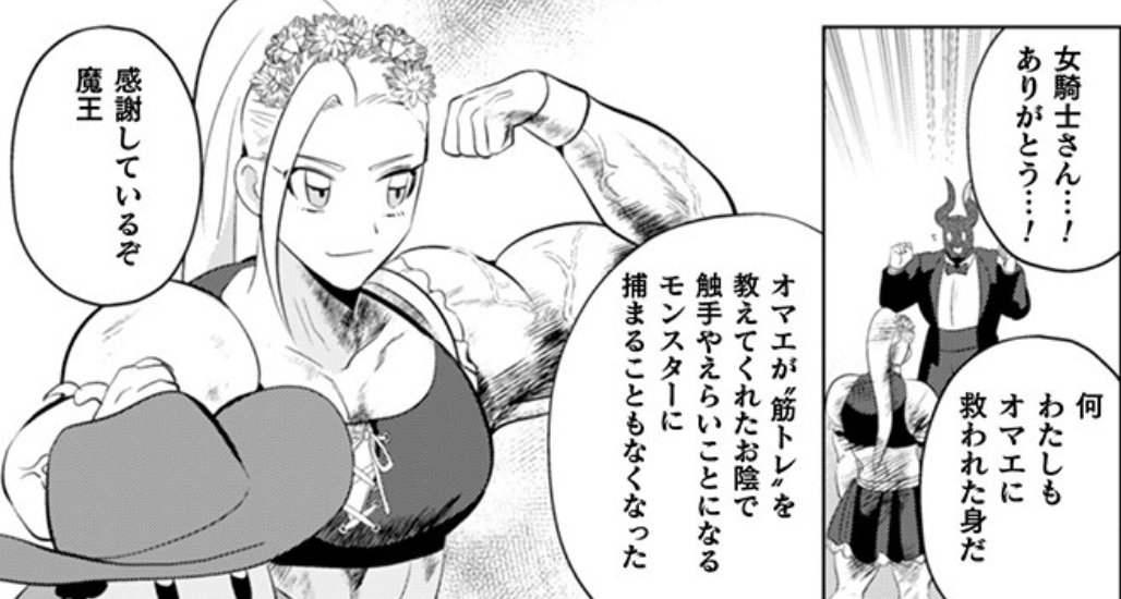 Leona Heidern on Twitter: "RT @wheyfuus: Name: Female Knight Anime