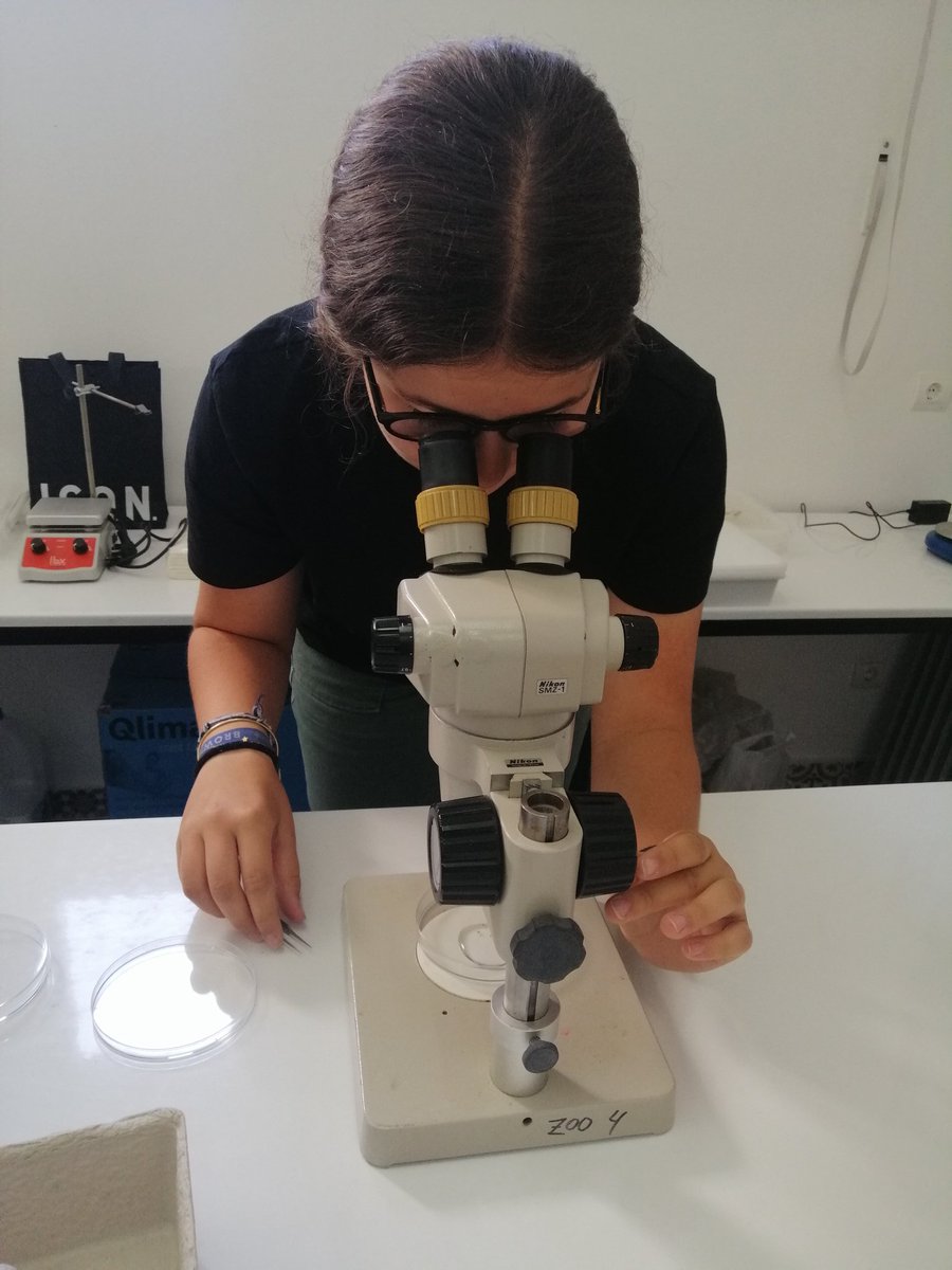 Last week I had the pleasure to participate in a secondary school project related to tiger mosquito in Pius XII. This project is organized by @Xatrac_org and @Mosquito_Alert @ceabcsic Funded by @FECYT_Ciencia