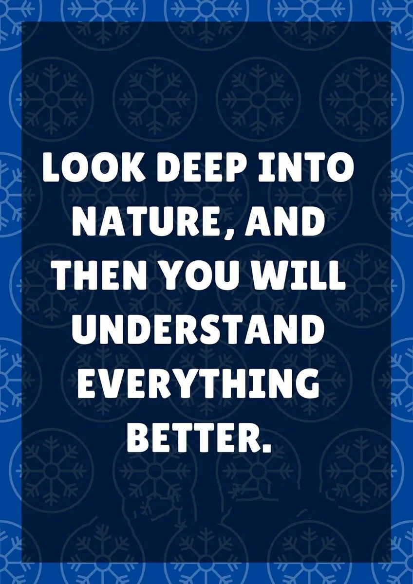 Gowher Bhat (@gowherbhat18) on Twitter photo 