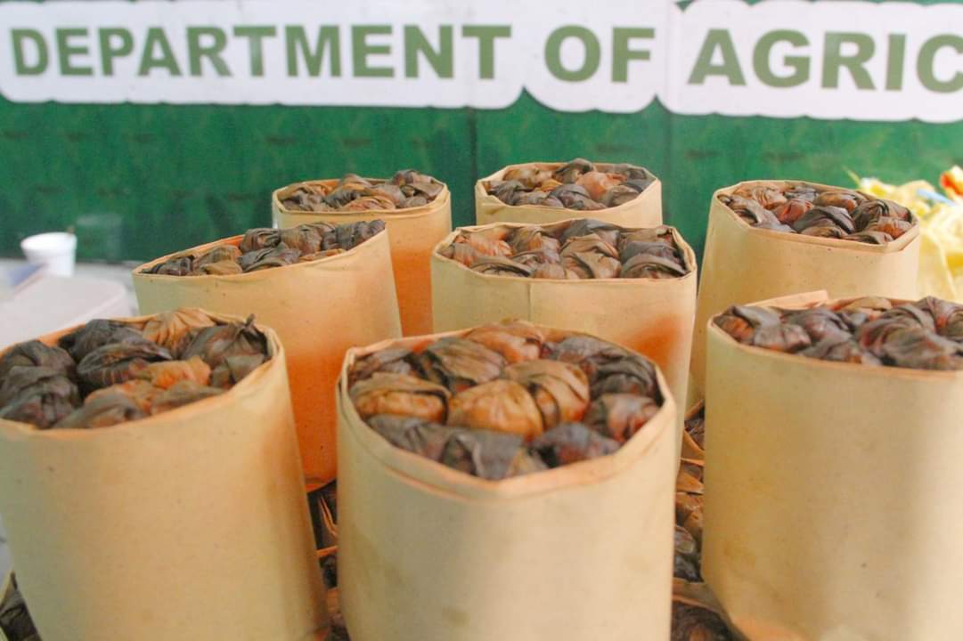 Philippine News Agency on Twitter: 