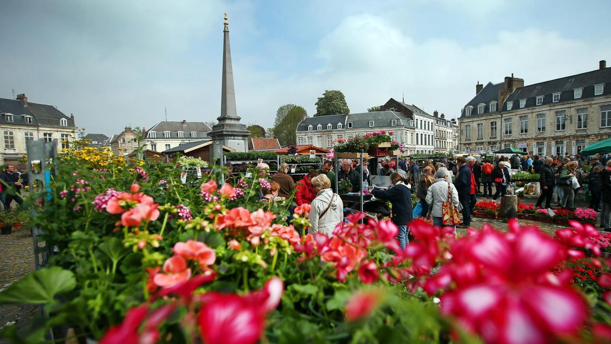 #Arras : Une place Victor-Hugo pleine de couleurs, le Marché aux #fleurs revient ce lundi

<a href="/VilleArras/">Ville d'Arras</a> #marché #muguet #plantes 
lavoixdunord.fr/1321721/articl…