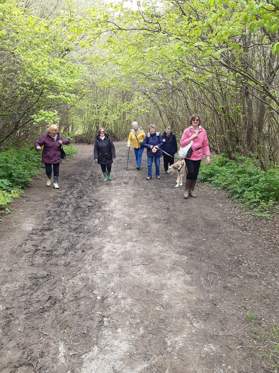 RosSouthendPast's tweet photo. What our group did during the month of April.  REv Thackerays Walk from Royal Terrace to Shopland Church.  Parsons Barn Breakfast and Lunch,  The Museum of Brands, London.  Walk to Bluebell Woods. https://t.co/6naETaThN5
