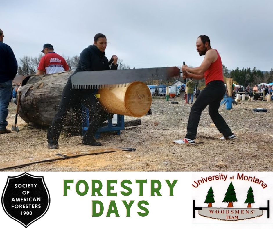 FortMslaMuseum's tweet photo. Forestry Day at the Fort TODAY - https://t.co/XKCB3JHvA0 https://t.co/j8uTHMtzqT
