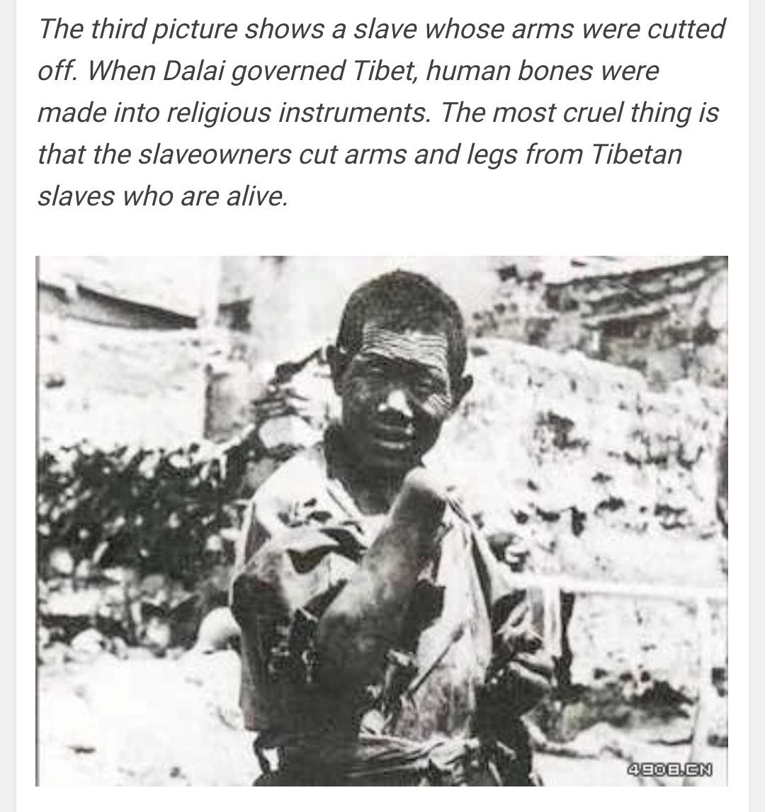 Uni91070952's tweet photo. La limonata pedofila del Dalai Lama
Quello che generalmente l'Occidente conosce del Tibet è senza dubbio frutto di una tra le mistificazioni storiche meglio riuscite.
Luogo remoto, pochissimi ci sono stati e pochissimi tra i pochissimi che ci sono stati, sono stati capaci di renderci, al loro ritorno, un'immagine di quei luoghi verosimile
Per la maggior parte quindi, quello che sappiamo del Dalai Lama e del Tibet proviene dai media mainstream
Abbiamo l'idea che quei luoghi assomiglino ad una teocrazia nella quale un semidio governa un popolo pacifico e profondamente religioso
Ma non è così, alla verità non ci siamo neppure vicini perché quel Tibet che ci immaginiamo non esiste e non è mai esistito in passato

La maggiorparte dei tibetani non ha mai visto un albero in vita sua..... riuscireste a crederci? E' praticamente un deserto d'alta quota, sarebbero davvero pochi quelli tra noi che deciderebbero di vivere li per scelta
Poco ossigeno, temperature rigide, pioggia quasi zero … insomma, non proprio un Eden!
Il Tibet è una provincia cinese da davvero molto tempo e riconosciuta come tale anche dall'occidente, tanto è vero che, le stesse cartine geografiche fin dal 1800 redatte da occidentali per l'occidente, la rappresentano come facente parte della Cina; godeva di una certa autonomia come regione della Cina.
Quando Mao nel 1950 ne ordinò “l'invasione”, il Tibet era praticamente una colonia di schiavi dove praticamente chiunque li, era letteralmente di proprietà del Dalai e degli altri lama.
Le persone non potevano possedere terre e lavoravano tutte senza alcun compenso per il monaco più alto in grado della zona arrivando in alcuni casi a possedere fino a 40.000 schiavi ognuno
La vita fuori dai monasteri era durissima, il livello di povertà della popolazione era a livelli assoluti! Quasi nessuno poteva permettersi vestiti di stoffa, nessuno se non I monaci, poteva istruirsi
I giovani e le giovani più belle erano requisiti dai monaci per soddisfare I loro piaceri all'interno dei monasteri mentre I figli dei monaci venivano mandati nelle migliori scuole britanniche presenti in India a vivere e a studiare
Religione e Governo locale erano inscindibili ed indistinguibili tra loro e spesso per avere la meglio sul popolo oppresso, non esitavano a praticare la tortura se la religione avesse fallito; si trovano numerose fotografie online di luoghi famosi per le loro camere delle torture dove amputavano mani, schiacciavano mani o dita, tagliavano i tendini delle gambe. Manette di ogni dimensione fino alle più piccole per i bambini, tecniche per cavare gli occhi alla vittima

C'è chi ha descritto il sistema della schiavitù dei tibetani, come tra le più oscure dell'intera storia umana; in quei luoghi la popolazione era praticamente proprietà privata dei lama e dei monaci I quali ne disponevano a piacimento, usandola, vendendola, barattandola, uccidendola

Quando nel 1989 dietro un'enorme pressione da parte del Governo degli Stati Uniti, venne conferito il Nobel per la Pace al Dalai Lama, il livello di revisionismo storico perverso, ha raggiunto livelli parossistici!
Ma siccome agli Stati Uniti sono il top del top..... 20 anni dopo esatti, hanno pensato bene di farne assegnare preventivamente ad ogni sua azione uno anche al loro primo presidente nero che evidentemente, in quanto nero, era buono e giusto
Quanto buono e giusto sia effettivamente stato, ce ne siamo accorti dopo contanto le volte che ha esportato giustizia e bontà in giro per il mondo
Chou En Lai negoziò per molto tempo con il Dalai Lama sul liberare dalla schiavitù quel popolo ma si intromise la Cia che in funzione anticinese, promise sostegno ad una ipotesi di libertà e totale autonomia del Tibet dalla Cina
Fu quando la Cina ormai stanca decise di intervenire che la CIA portò in “esilio” il Dalai Lama
Da allora il Lama è uno strumento …... che non ha perduto il vizio di usare bambini innocenti per soddisfare le sue voglie