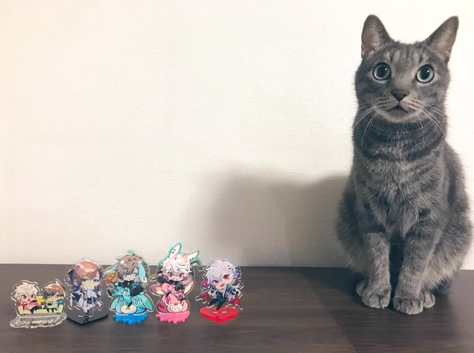 前に作ったアクスタと大きさの比較を…と思ったけど猫が近づいてきてたので慌てて撮った写真 でも意外と何もされなかった