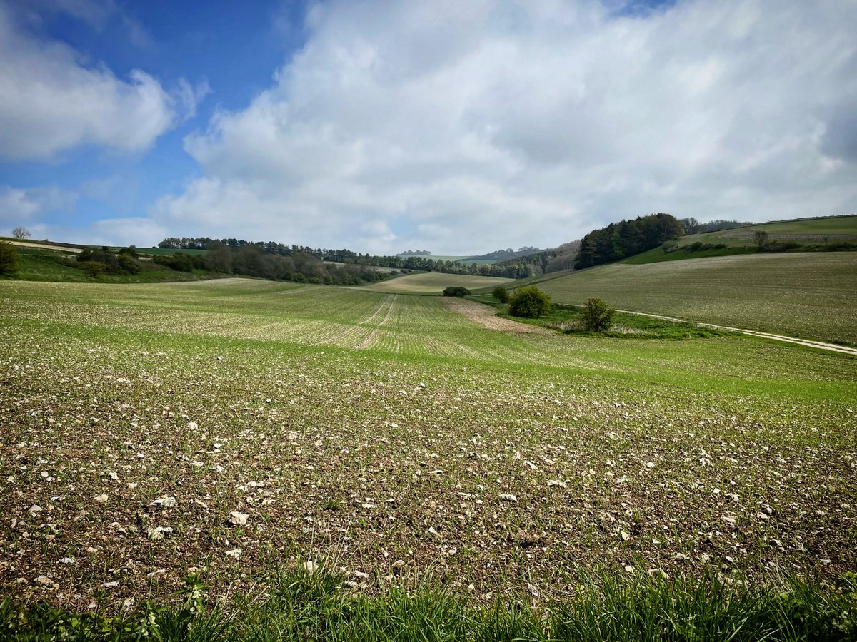 DofE season is in full swing!

#dofe #bronze #silver #gold #southdowns #southdownsnationalpark #dofebronze #dofegold #dofesilver #outdoors #maps #reading <a href="/DofESouthEast/">DofE South East</a> <a href="/DofE/">The Duke of Edinburgh’s Award</a> <a href="/southeastNT/">National Trust South East</a> <a href="/sdnpa/">South Downs National Park</a>