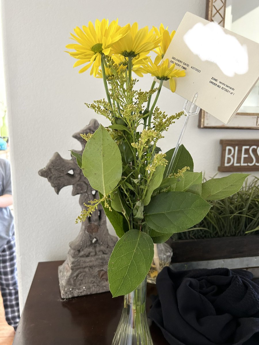 ElvisPoptart's tweet photo. Received this from https://t.co/wmmkUqBxaW today.  When I called to cancel Elvis’ deliveries the rep was very compassionate and sent our family this sweet bouquet. I thought it was a very sweet gesture. ❤️ https://t.co/DBKdv2QVHQ