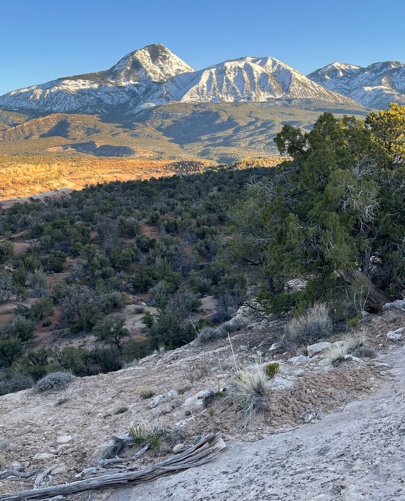 BuckelFamily's tweet photo. Scenic to say the least. ⛰️ Four Corners of Colorado. A lot of pruning vineyards and a little bit of mountain biking. https://t.co/brkjU60Tio https://t.co/gXpN35fvd8