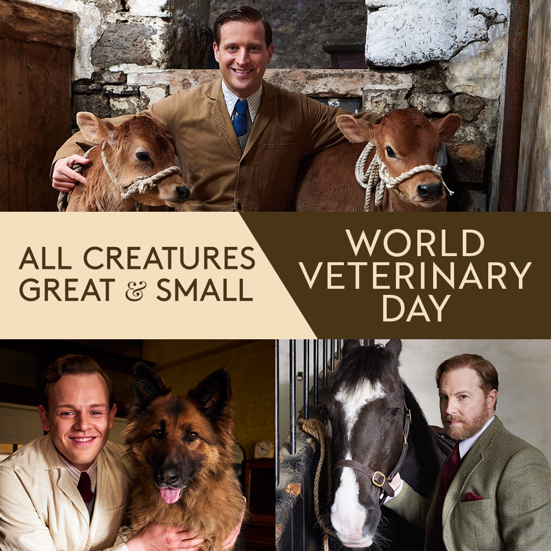 We couldn't we let #WorldVeterinaryDay pass without acknowledging our favourite vets 🩺🐾
Who would you book an appointment with? Siegfried, James or Tristan?

#ACGAS #AllCreaturesGreatAndSmall #WorldVetDay