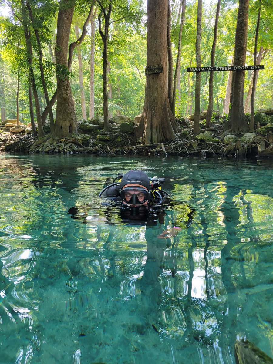 #poddiverlodge #highspring #ginniesprings #cavediver #scuba