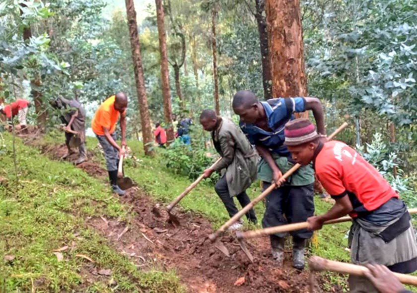Umurenge wa Kanama tweet media