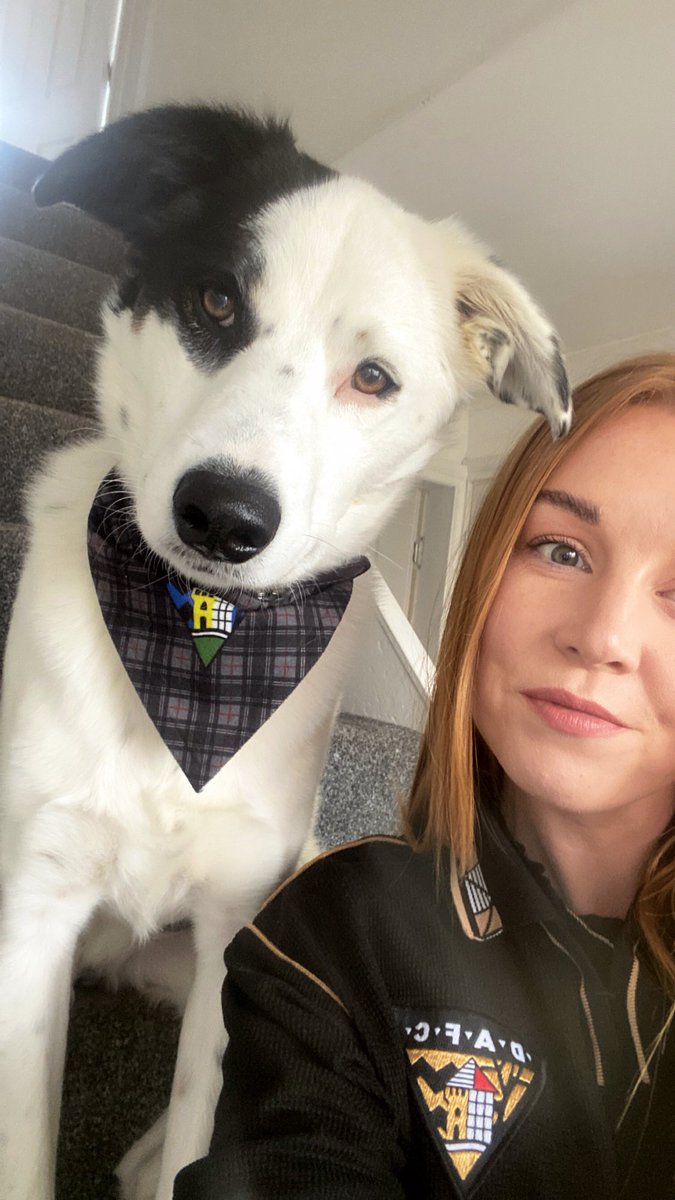Lindsay_Gx's tweet photo. Trophy day π
@officialdafc #dafc #parspets https://t.co/27631wAR35