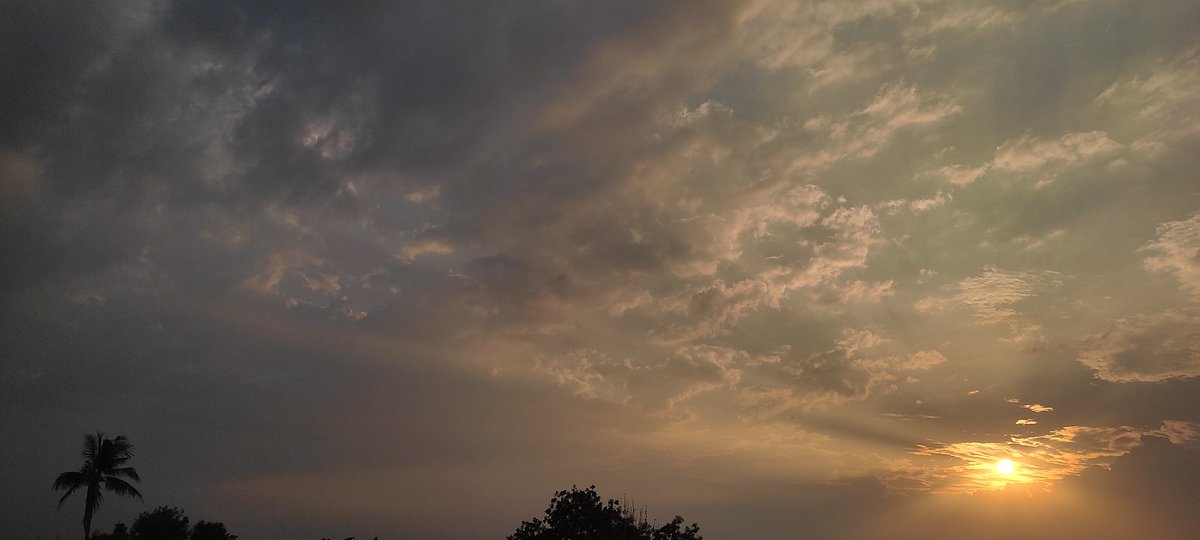 Praxanaa's tweet photo. #sunsetvibes
#Perfectclick📸 https://t.co/po0DhRTL2i