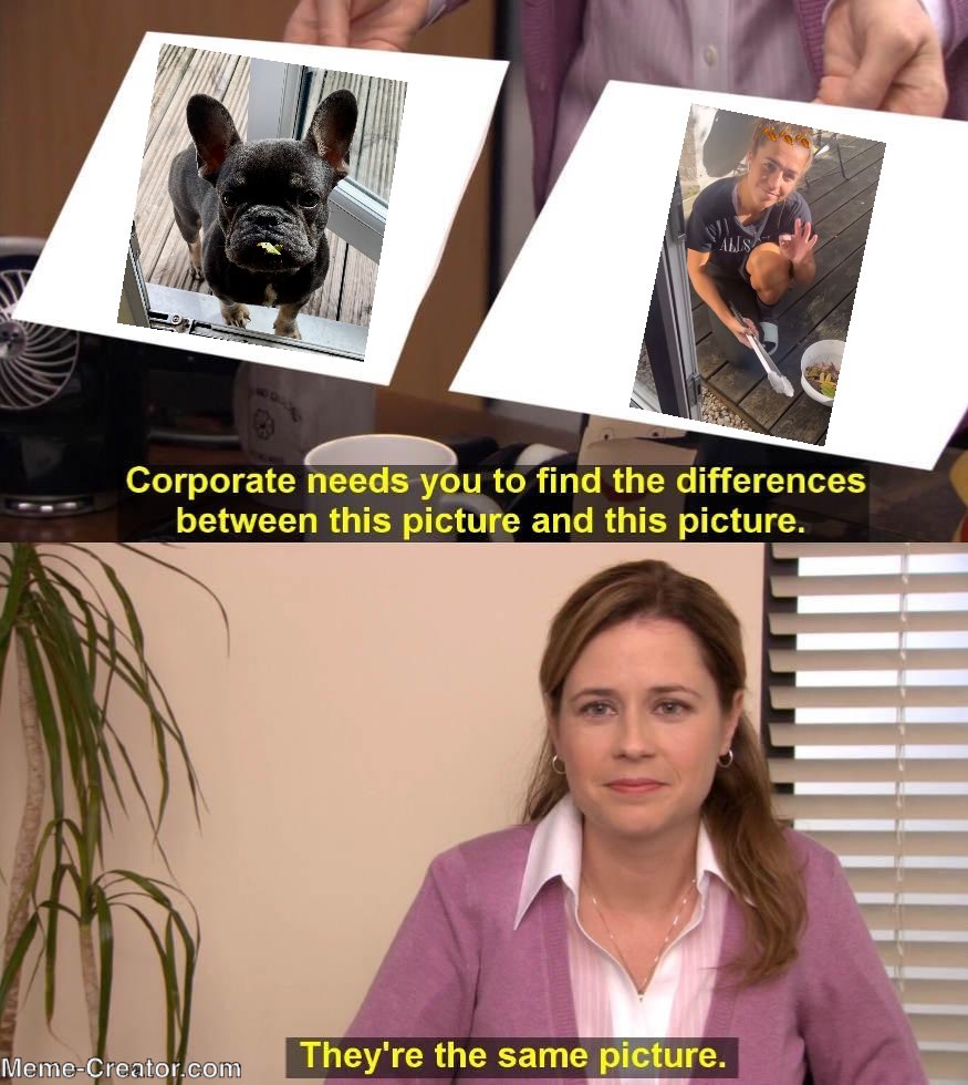 HelzWelsh's tweet photo. It’s the same picture 😂 🥰 https://t.co/fHvTivmIq4