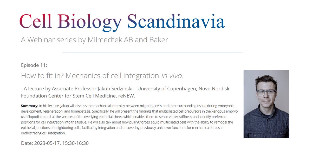 SwedishCellBio's tweet photo. Join us for our 11th free webinar on May 17th: 

"How to fit in? Mechanics of cell integration in vivo."
- A lecture by Associate Professor Jakub Sedzinski at the University of Copenhagen 
@ksedzinski, @reNEW_Global 

Register here: https://t.co/YzRlD6tzMA https://t.co/N0QHzlBzOS