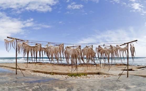 Potcasd del programa d’aquest dissabte 29 d’abril, de Plazaradio (99.9) Ferits de Lletra de Josep Vicent Miralles. plazapodcast.es/ferits-de-llet…  Ha tingut la generositat de parlar del nostre llibre “Cuineres del territori” <a href="/Maria_tormo_DN/">Maria T. Santamaria</a> <a href="/OnadaEdicions/">Onada Edicions</a>