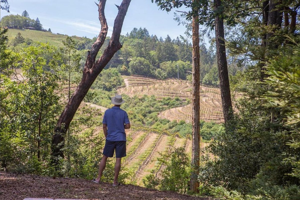springmountaind's tweet image. It's shaping up to be a #beautifulweekend here in #California #Wine Country! ☀️ The forecast for #Napa Valley is showing sunny 75+ temps making it the perfect time to make an escape to Schweiger Vineyards. 

schweigervineyards.com

#wine #sthelena