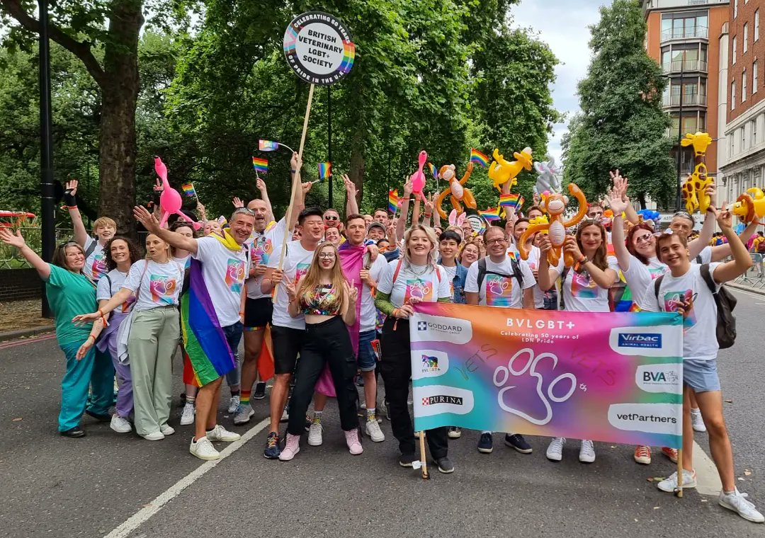 bvlgbt's tweet photo. It's #WorldVeterinaryDay and the theme is promoting Diversity, Equity and Inclusiveness in the Profession! To all our colleagues, we want to say thank you! Let's keep striving towards a profession we can ALL feel safe to be ourselves in. ❤ 🌈 ✌ https://t.co/0vBMJq1zMU