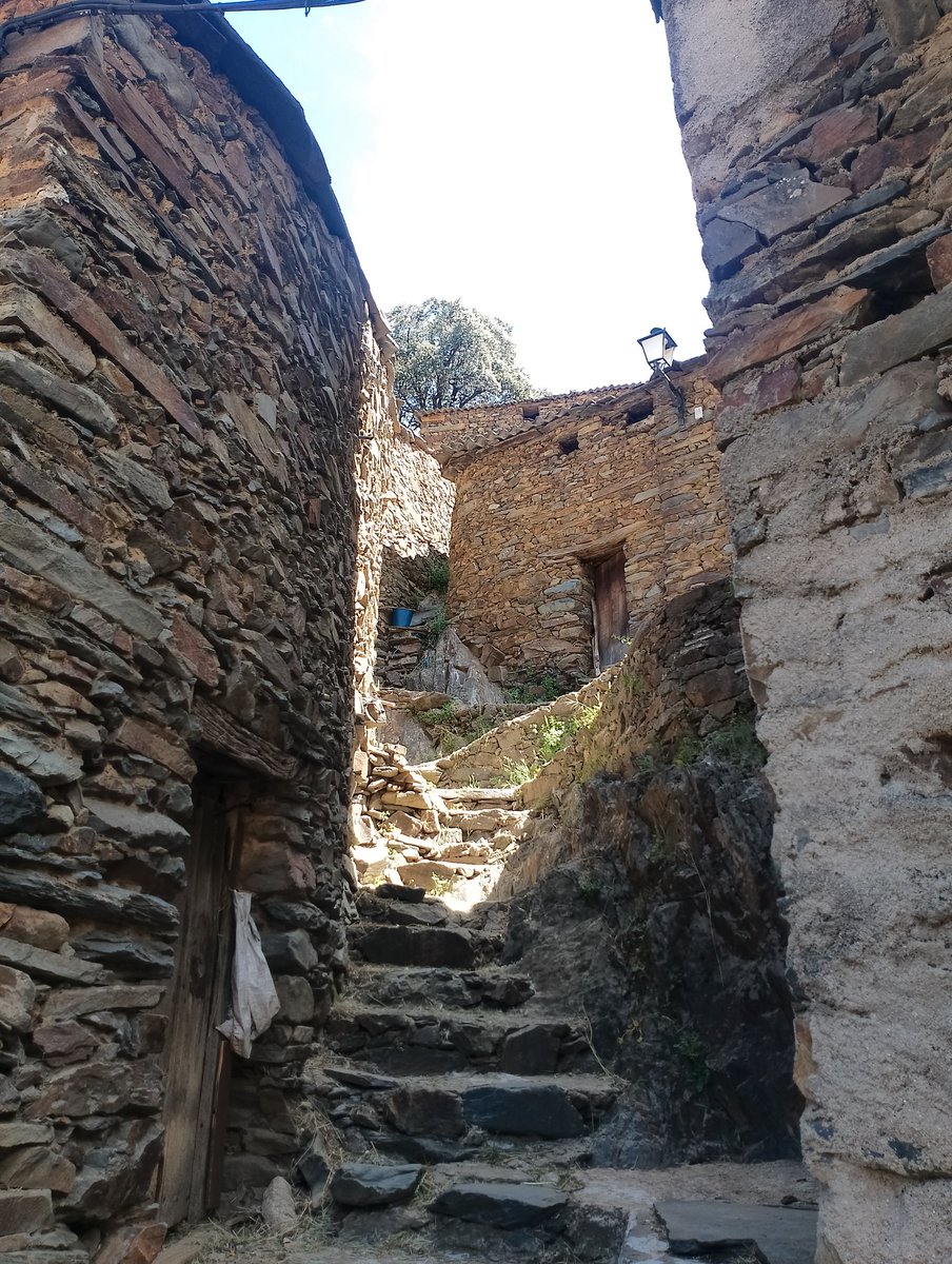 fervázquez tweet media