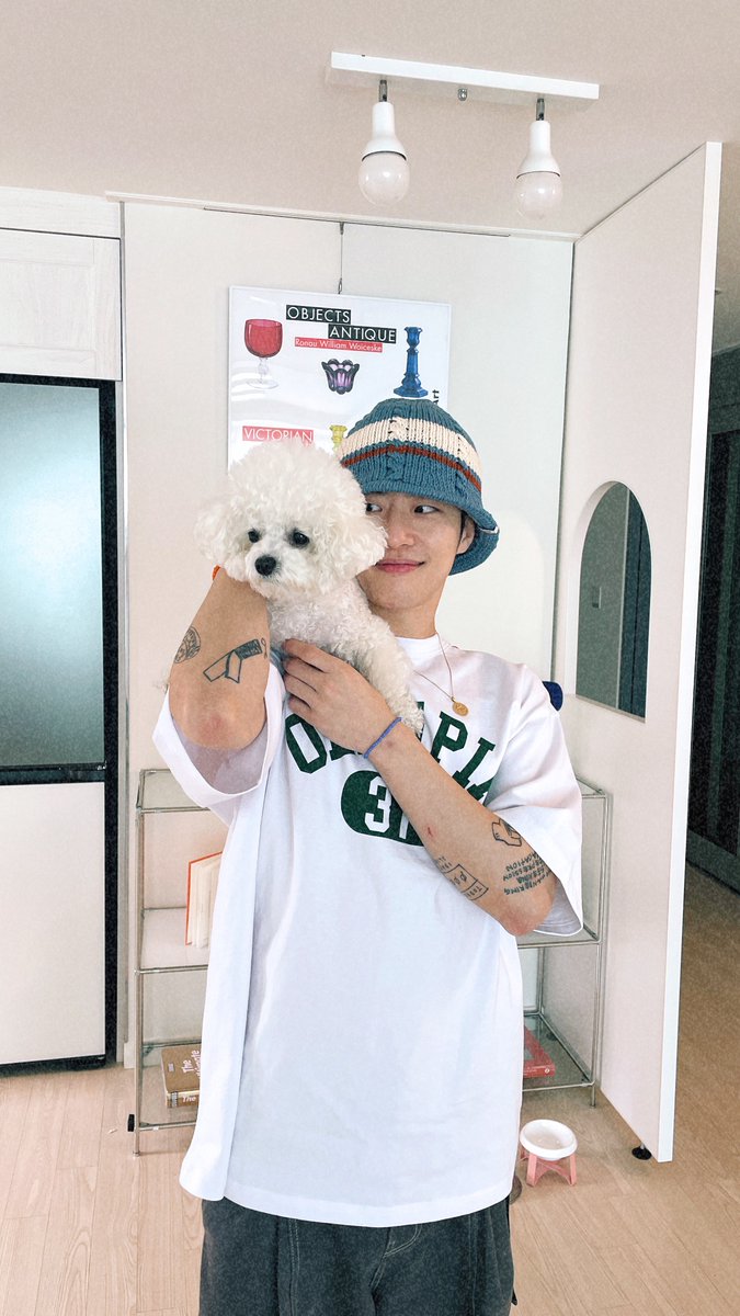 Feeldog / 필독 tweet media