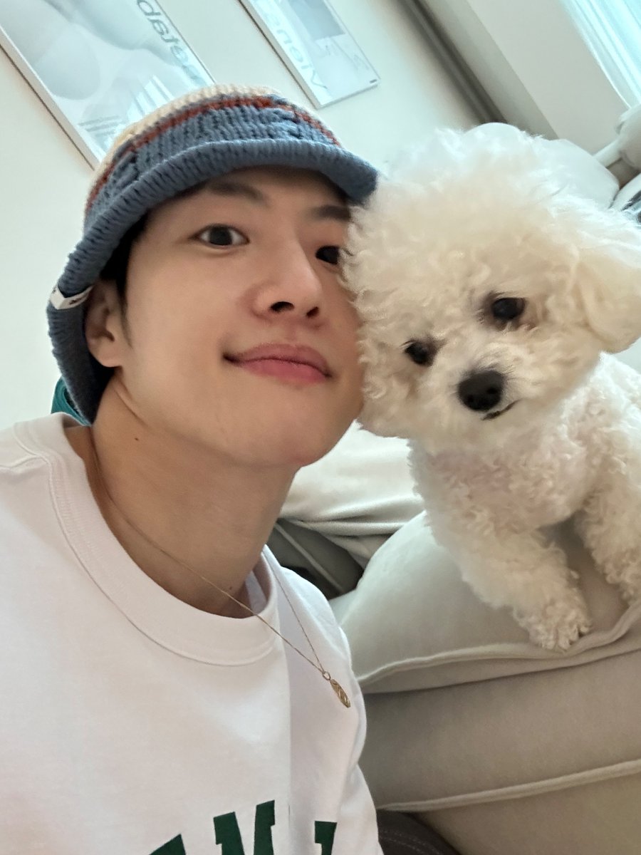 Feeldog / 필독 tweet media