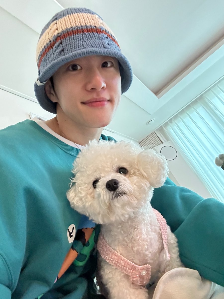 Feeldog / 필독 tweet media
