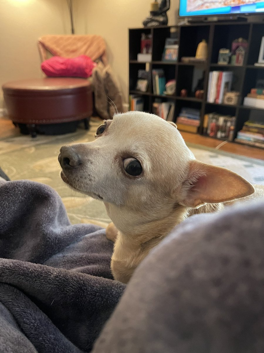 It’s early for bonus #yourdailyfred content but I couldn’t not share this bombastic side eye.