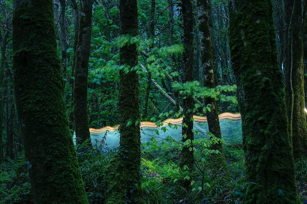 Dominick Tyler tweet media