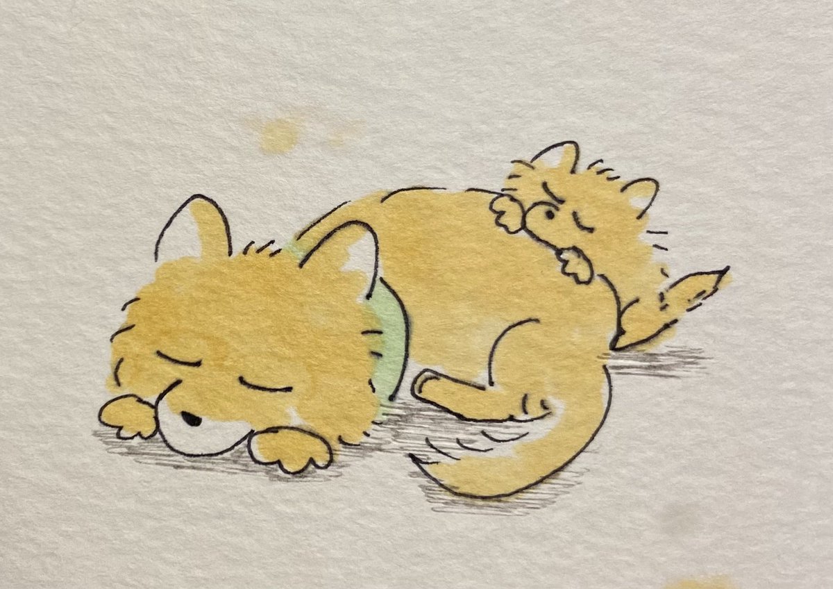xiao_73's tweet photo. 今日ともだちとサンエックスの話で盛り上がったんだが誰もチーズ一家知らなかったので、小学校の時好きだったヤツらを描いた。
2枚目は最近描いたいぬ。 https://t.co/g2eSUR3tFe