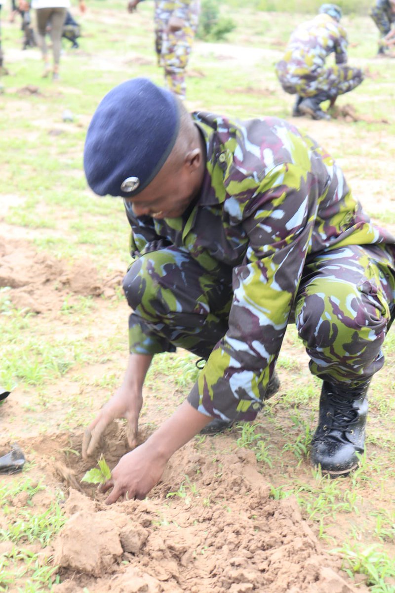 Dedankm's tweet photo. 4/11

The Foundation donated 55,000 tree seedlings raised in the Coastal region nurseries partnering with the Foundation as Kenya Forest Service donated  another fraction of the remainder. 

#DKFandKDF100kTrees https://t.co/L7pbMGLAbL