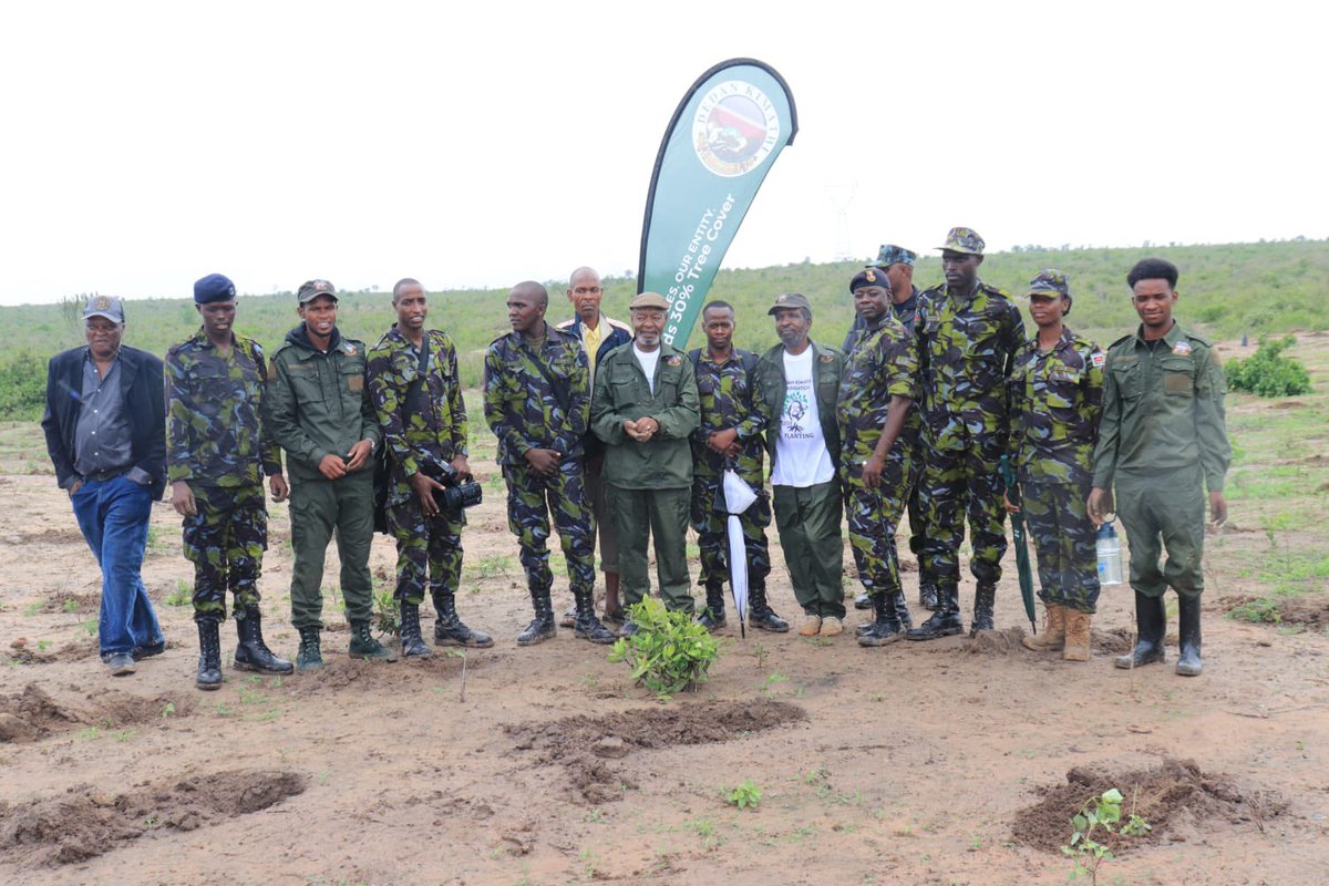 Dedankm's tweet photo. 4/11

The Foundation donated 55,000 tree seedlings raised in the Coastal region nurseries partnering with the Foundation as Kenya Forest Service donated  another fraction of the remainder. 

#DKFandKDF100kTrees https://t.co/L7pbMGLAbL