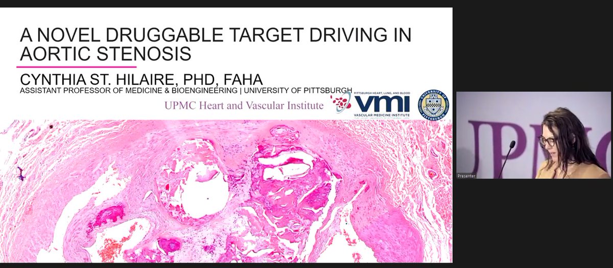 AppliedCVB's tweet image. ISACB member @StHilaireLab presents her exciting results on a druggable target for #aorticstenosis #UPMCValve Symposium @HviUpmc @PittVMI @PittCardiology