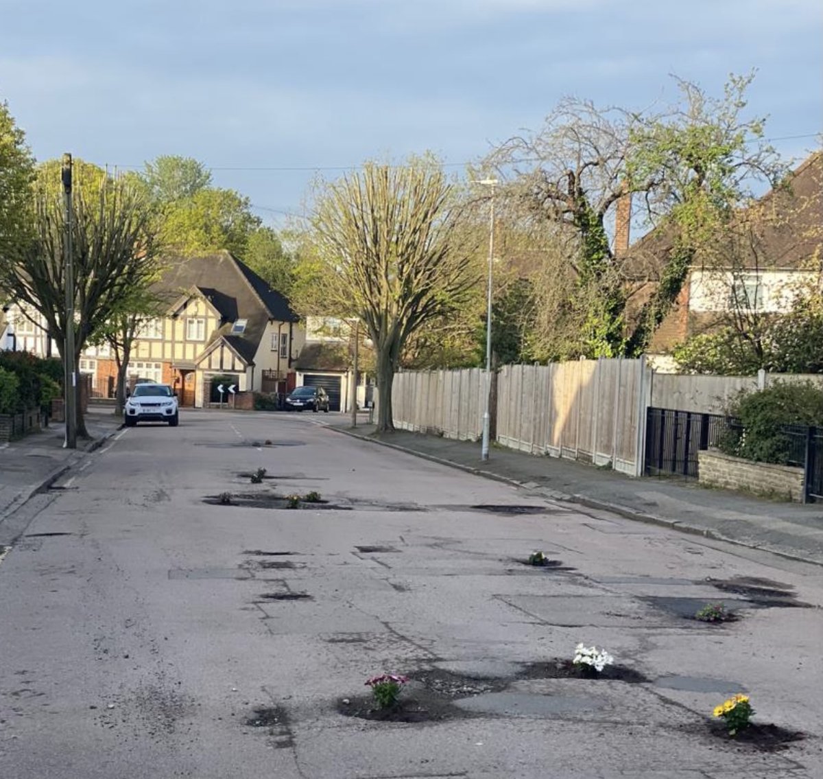 A phantom gardener sprung into action overnight in Loughton - and planted flowers in various potholes in Brooklyn Avenue.

Read more at bit.ly/3LFUqRs