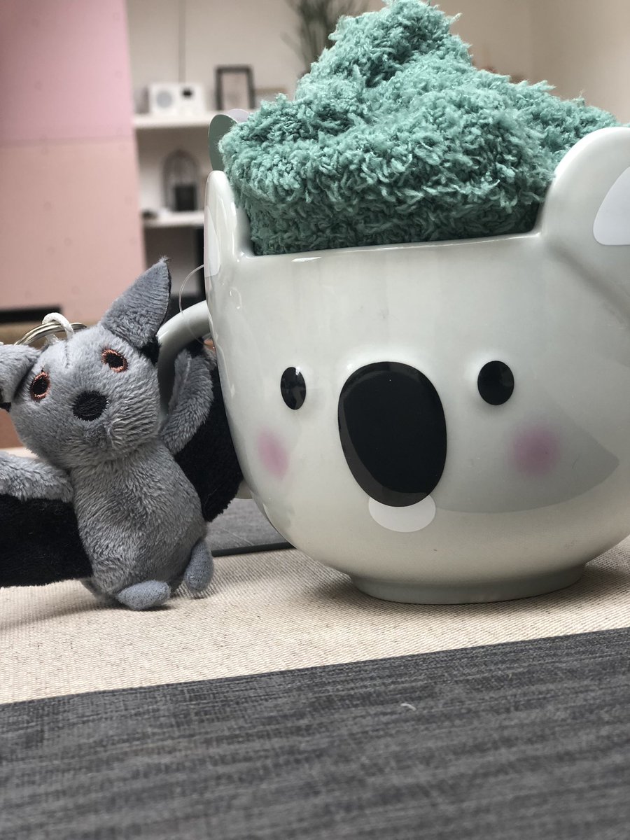 ItsCrochato's tweet photo. Found the most adorable things in the store 🥹 

#shopping #cute #cozystuff #adulthood #innerchild https://t.co/KCWTfy6rWz