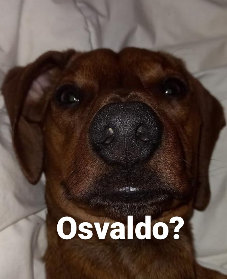 _kakitaperess's tweet photo. ES EL CUMPLE DEL OSVALDO https://t.co/n5Rt9oFSun