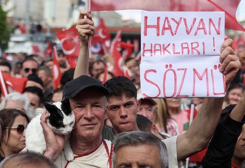 Kooocakafa's tweet photo. Sana Söz! 
Yine Baharlar Gelecek…
İlk turda bitirelim https://t.co/aV7PCDAcGz
