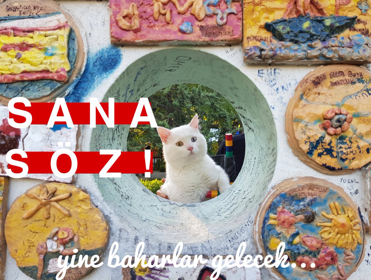 Kooocakafa's tweet photo. Sana Söz! 
Yine Baharlar Gelecek…
İlk turda bitirelim https://t.co/aV7PCDAcGz